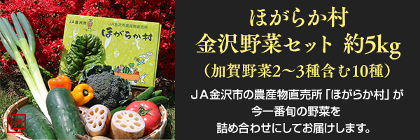 ほがらか村金沢野菜セット（加賀野菜2～3種含む10種）